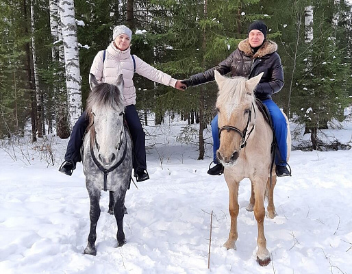 Конная прогулка для двоих о Нижнем Тагиле. Подарочные сертификаты Ultra Подарки. Купить оригинальный подарок или подарочный сертификат на Конная прогулка для двоих о Нижнем Тагиле. Сервис UltraPodarki.ru 8-800-505-9530. Катание на лошадях, Прогулка на лошади, Прогулка на лошадях для двоих, Конная прогулка для двоих, конный клуб, Конный клуб, конная прогулка, конная прогулка о Нижнем Тагиле