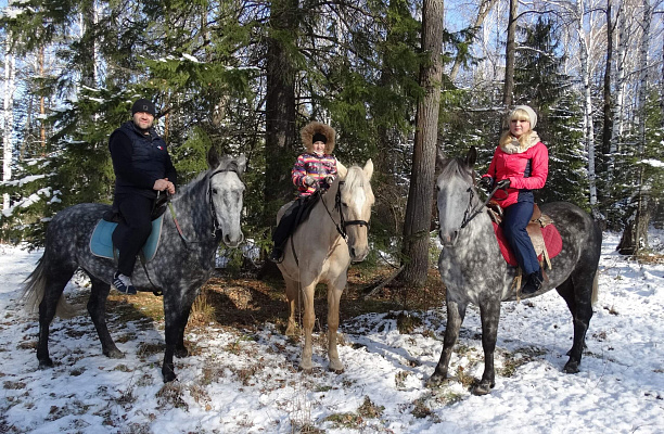 Конные прогулки о Нижнем Тагиле. Подарочные сертификаты Ultra Подарки. Купить оригинальный подарок или подарочный сертификат на Конные прогулки о Нижнем Тагиле. Сервис UltraPodarki.ru 8-800-505-9530. Катание на лошадях, Прогулка на лошади, Прогулка на лошадях для двоих, Конные прогулки, конный клуб, Конный клуб, конная прогулка, конная прогулка о Нижнем Тагиле