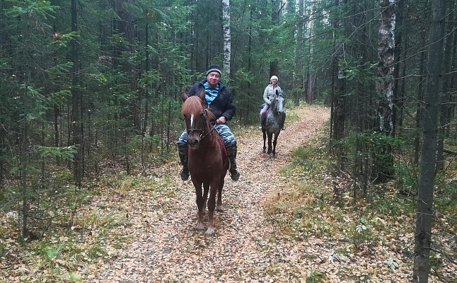 Конные прогулки о Нижнем Тагиле. Подарочные сертификаты Ultra Подарки. Купить оригинальный подарок или подарочный сертификат на Конные прогулки о Нижнем Тагиле. Сервис UltraPodarki.ru 8-800-505-9530. Катание на лошадях, Прогулка на лошади, Прогулка на лошадях для двоих, Конные прогулки, конный клуб, Конный клуб, конная прогулка, конная прогулка о Нижнем Тагиле