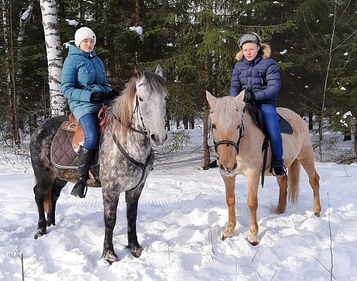 Конная прогулка для двоих о Нижнем Тагиле. Подарочные сертификаты Ultra Подарки. Купить оригинальный подарок или подарочный сертификат на Конная прогулка для двоих о Нижнем Тагиле. Сервис UltraPodarki.ru 8-800-505-9530. Катание на лошадях, Прогулка на лошади, Прогулка на лошадях для двоих, Конная прогулка для двоих, конный клуб, Конный клуб, конная прогулка, конная прогулка о Нижнем Тагиле