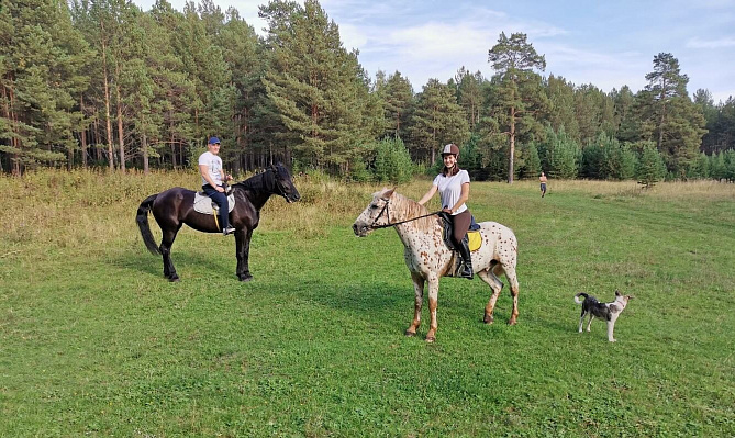 Конные прогулки о Нижнем Тагиле. Подарочные сертификаты Ultra Подарки. Купить оригинальный подарок или подарочный сертификат на Конные прогулки о Нижнем Тагиле. Сервис UltraPodarki.ru 8-800-505-9530. Катание на лошадях, Прогулка на лошади, Прогулка на лошадях для двоих, Конные прогулки, конный клуб, Конный клуб, конная прогулка, конная прогулка о Нижнем Тагиле