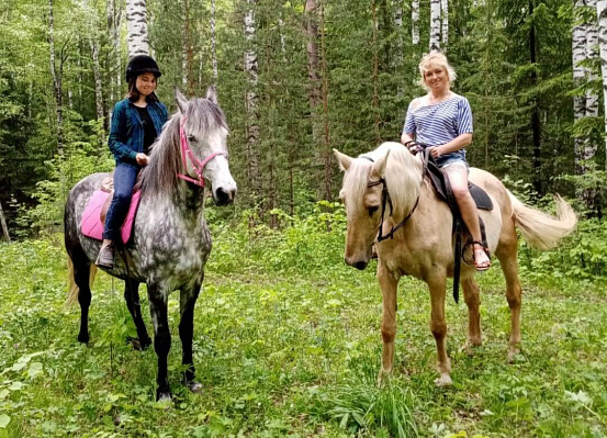 Конные прогулки о Нижнем Тагиле. Подарочные сертификаты Ultra Подарки. Купить оригинальный подарок или подарочный сертификат на Конные прогулки о Нижнем Тагиле. Сервис UltraPodarki.ru 8-800-505-9530. Катание на лошадях, Прогулка на лошади, Прогулка на лошадях для двоих, Конные прогулки, конный клуб, Конный клуб, конная прогулка, конная прогулка о Нижнем Тагиле