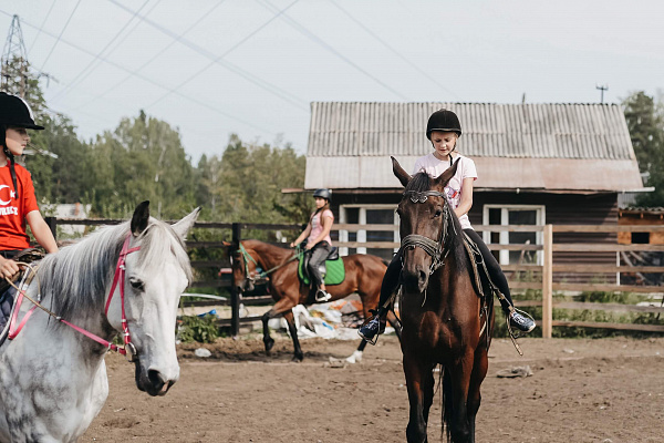 Конные прогулки о Нижнем Тагиле. Подарочные сертификаты Ultra Подарки. Купить оригинальный подарок или подарочный сертификат на Конные прогулки о Нижнем Тагиле. Сервис UltraPodarki.ru 8-800-505-9530. Катание на лошадях, Прогулка на лошади, Прогулка на лошадях для двоих, Конные прогулки, конный клуб, Конный клуб, конная прогулка, конная прогулка о Нижнем Тагиле