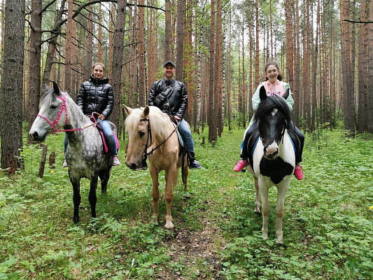 Конные прогулки о Нижнем Тагиле. Подарочные сертификаты Ultra Подарки. Купить оригинальный подарок или подарочный сертификат на Конные прогулки о Нижнем Тагиле. Сервис UltraPodarki.ru 8-800-505-9530. Катание на лошадях, Прогулка на лошади, Прогулка на лошадях для двоих, Конные прогулки, конный клуб, Конный клуб, конная прогулка, конная прогулка о Нижнем Тагиле