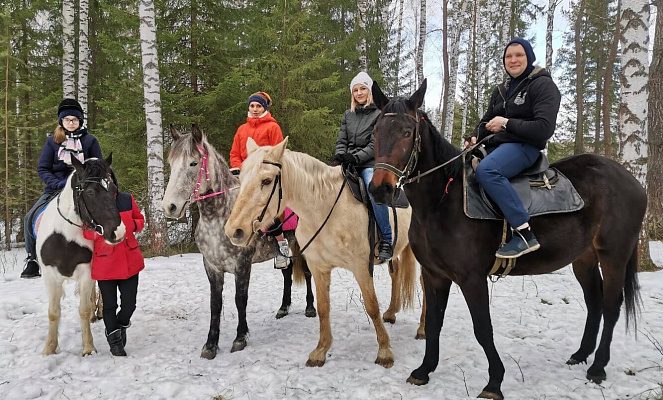 Конные прогулки о Нижнем Тагиле. Подарочные сертификаты Ultra Подарки. Купить оригинальный подарок или подарочный сертификат на Конные прогулки о Нижнем Тагиле. Сервис UltraPodarki.ru 8-800-505-9530. Катание на лошадях, Прогулка на лошади, Прогулка на лошадях для двоих, Конные прогулки, конный клуб, Конный клуб, конная прогулка, конная прогулка о Нижнем Тагиле
