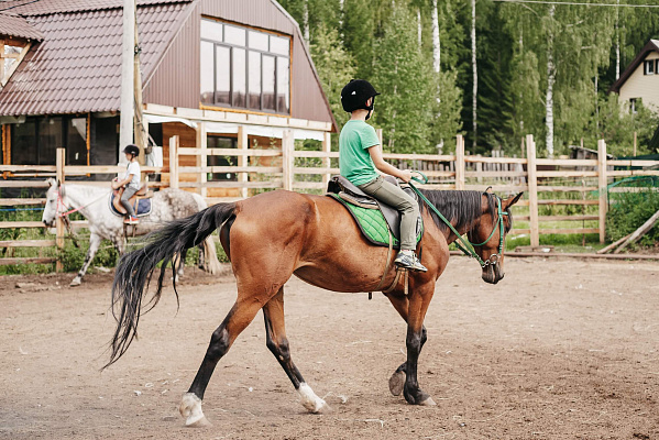 Конные прогулки о Нижнем Тагиле. Подарочные сертификаты Ultra Подарки. Купить оригинальный подарок или подарочный сертификат на Конные прогулки о Нижнем Тагиле. Сервис UltraPodarki.ru 8-800-505-9530. Катание на лошадях, Прогулка на лошади, Прогулка на лошадях для двоих, Конные прогулки, конный клуб, Конный клуб, конная прогулка, конная прогулка о Нижнем Тагиле