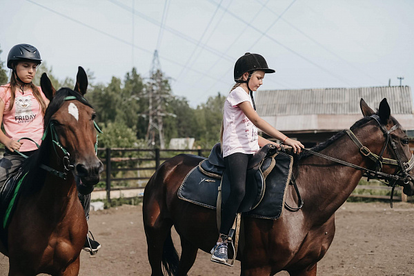 Конные прогулки о Нижнем Тагиле. Подарочные сертификаты Ultra Подарки. Купить оригинальный подарок или подарочный сертификат на Конные прогулки о Нижнем Тагиле. Сервис UltraPodarki.ru 8-800-505-9530. Катание на лошадях, Прогулка на лошади, Прогулка на лошадях для двоих, Конные прогулки, конный клуб, Конный клуб, конная прогулка, конная прогулка о Нижнем Тагиле