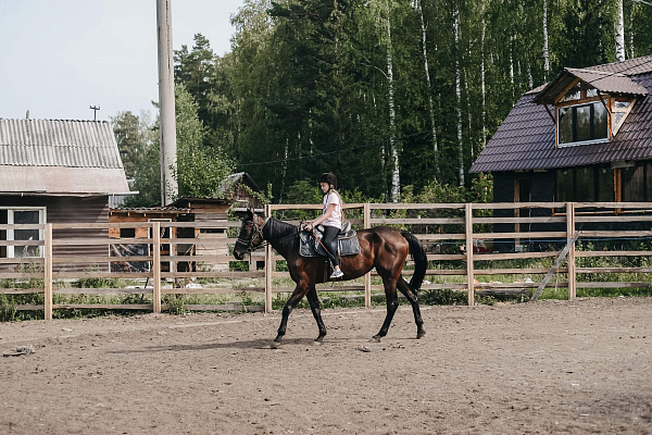 Конные прогулки о Нижнем Тагиле. Подарочные сертификаты Ultra Подарки. Купить оригинальный подарок или подарочный сертификат на Конные прогулки о Нижнем Тагиле. Сервис UltraPodarki.ru 8-800-505-9530. Катание на лошадях, Прогулка на лошади, Прогулка на лошадях для двоих, Конные прогулки, конный клуб, Конный клуб, конная прогулка, конная прогулка о Нижнем Тагиле