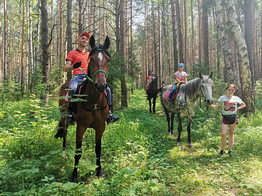 Конные прогулки о Нижнем Тагиле. Подарочные сертификаты Ultra Подарки. Купить оригинальный подарок или подарочный сертификат на Конные прогулки о Нижнем Тагиле. Сервис UltraPodarki.ru 8-800-505-9530. Катание на лошадях, Прогулка на лошади, Прогулка на лошадях для двоих, Конные прогулки, конный клуб, Конный клуб, конная прогулка, конная прогулка о Нижнем Тагиле