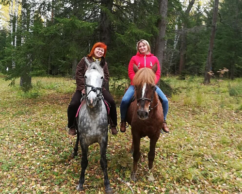 Конная прогулка для двоих о Нижнем Тагиле. Подарочные сертификаты Ultra Подарки. Купить оригинальный подарок или подарочный сертификат на Конная прогулка для двоих о Нижнем Тагиле. Сервис UltraPodarki.ru 8-800-505-9530. Катание на лошадях, Прогулка на лошади, Прогулка на лошадях для двоих, Конная прогулка для двоих, конный клуб, Конный клуб, конная прогулка, конная прогулка о Нижнем Тагиле