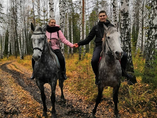 Конная прогулка для двоих о Нижнем Тагиле. Подарочные сертификаты Ultra Подарки. Купить оригинальный подарок или подарочный сертификат на Конная прогулка для двоих о Нижнем Тагиле. Сервис UltraPodarki.ru 8-800-505-9530. Катание на лошадях, Прогулка на лошади, Прогулка на лошадях для двоих, Конная прогулка для двоих, конный клуб, Конный клуб, конная прогулка, конная прогулка о Нижнем Тагиле