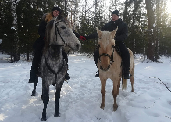 Конная прогулка для двоих о Нижнем Тагиле. Подарочные сертификаты Ultra Подарки. Купить оригинальный подарок или подарочный сертификат на Конная прогулка для двоих о Нижнем Тагиле. Сервис UltraPodarki.ru 8-800-505-9530. Катание на лошадях, Прогулка на лошади, Прогулка на лошадях для двоих, Конная прогулка для двоих, конный клуб, Конный клуб, конная прогулка, конная прогулка о Нижнем Тагиле
