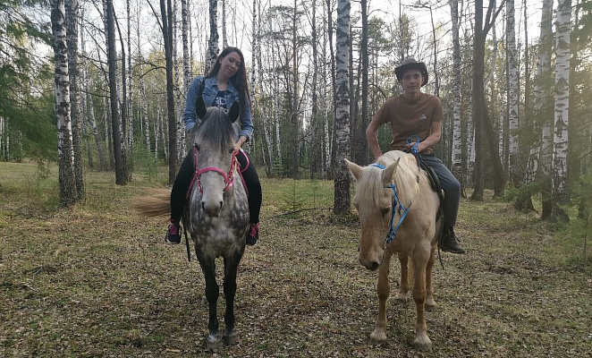 Конная прогулка для двоих о Нижнем Тагиле. Подарочные сертификаты Ultra Подарки. Купить оригинальный подарок или подарочный сертификат на Конная прогулка для двоих о Нижнем Тагиле. Сервис UltraPodarki.ru 8-800-505-9530. Катание на лошадях, Прогулка на лошади, Прогулка на лошадях для двоих, Конная прогулка для двоих, конный клуб, Конный клуб, конная прогулка, конная прогулка о Нижнем Тагиле