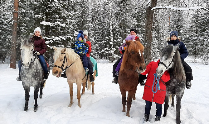 Конные прогулки о Нижнем Тагиле. Подарочные сертификаты Ultra Подарки. Купить оригинальный подарок или подарочный сертификат на Конные прогулки о Нижнем Тагиле. Сервис UltraPodarki.ru 8-800-505-9530. Катание на лошадях, Прогулка на лошади, Прогулка на лошадях для двоих, Конные прогулки, конный клуб, Конный клуб, конная прогулка, конная прогулка о Нижнем Тагиле