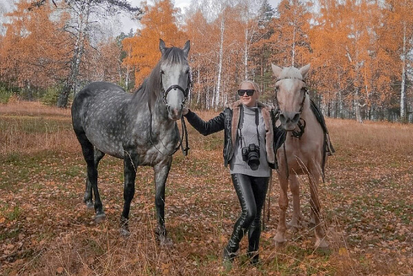 Конные прогулки о Нижнем Тагиле. Подарочные сертификаты Ultra Подарки. Купить оригинальный подарок или подарочный сертификат на Конные прогулки о Нижнем Тагиле. Сервис UltraPodarki.ru 8-800-505-9530. Катание на лошадях, Прогулка на лошади, Прогулка на лошадях для двоих, Конные прогулки, конный клуб, Конный клуб, конная прогулка, конная прогулка о Нижнем Тагиле