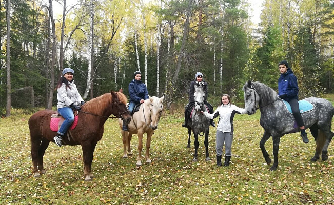 Конные прогулки о Нижнем Тагиле. Подарочные сертификаты Ultra Подарки. Купить оригинальный подарок или подарочный сертификат на Конные прогулки о Нижнем Тагиле. Сервис UltraPodarki.ru 8-800-505-9530. Катание на лошадях, Прогулка на лошади, Прогулка на лошадях для двоих, Конные прогулки, конный клуб, Конный клуб, конная прогулка, конная прогулка о Нижнем Тагиле