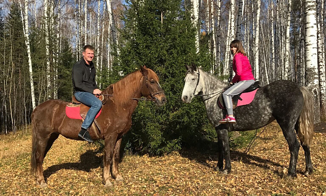 Конная прогулка для двоих о Нижнем Тагиле. Подарочные сертификаты Ultra Подарки. Купить оригинальный подарок или подарочный сертификат на Конная прогулка для двоих о Нижнем Тагиле. Сервис UltraPodarki.ru 8-800-505-9530. Катание на лошадях, Прогулка на лошади, Прогулка на лошадях для двоих, Конная прогулка для двоих, конный клуб, Конный клуб, конная прогулка, конная прогулка о Нижнем Тагиле