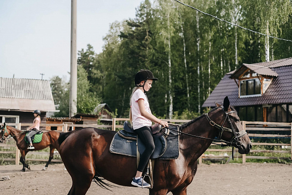 Конные прогулки о Нижнем Тагиле. Подарочные сертификаты Ultra Подарки. Купить оригинальный подарок или подарочный сертификат на Конные прогулки о Нижнем Тагиле. Сервис UltraPodarki.ru 8-800-505-9530. Катание на лошадях, Прогулка на лошади, Прогулка на лошадях для двоих, Конные прогулки, конный клуб, Конный клуб, конная прогулка, конная прогулка о Нижнем Тагиле